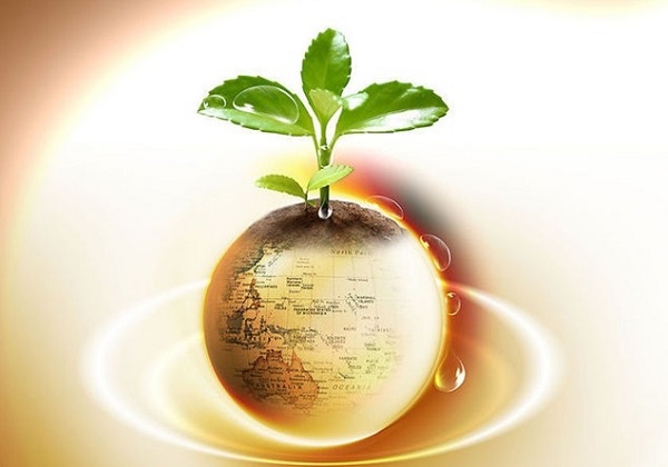 美联储候选人争议与货币对分化加剧，美乌谈判及日本加息成焦点